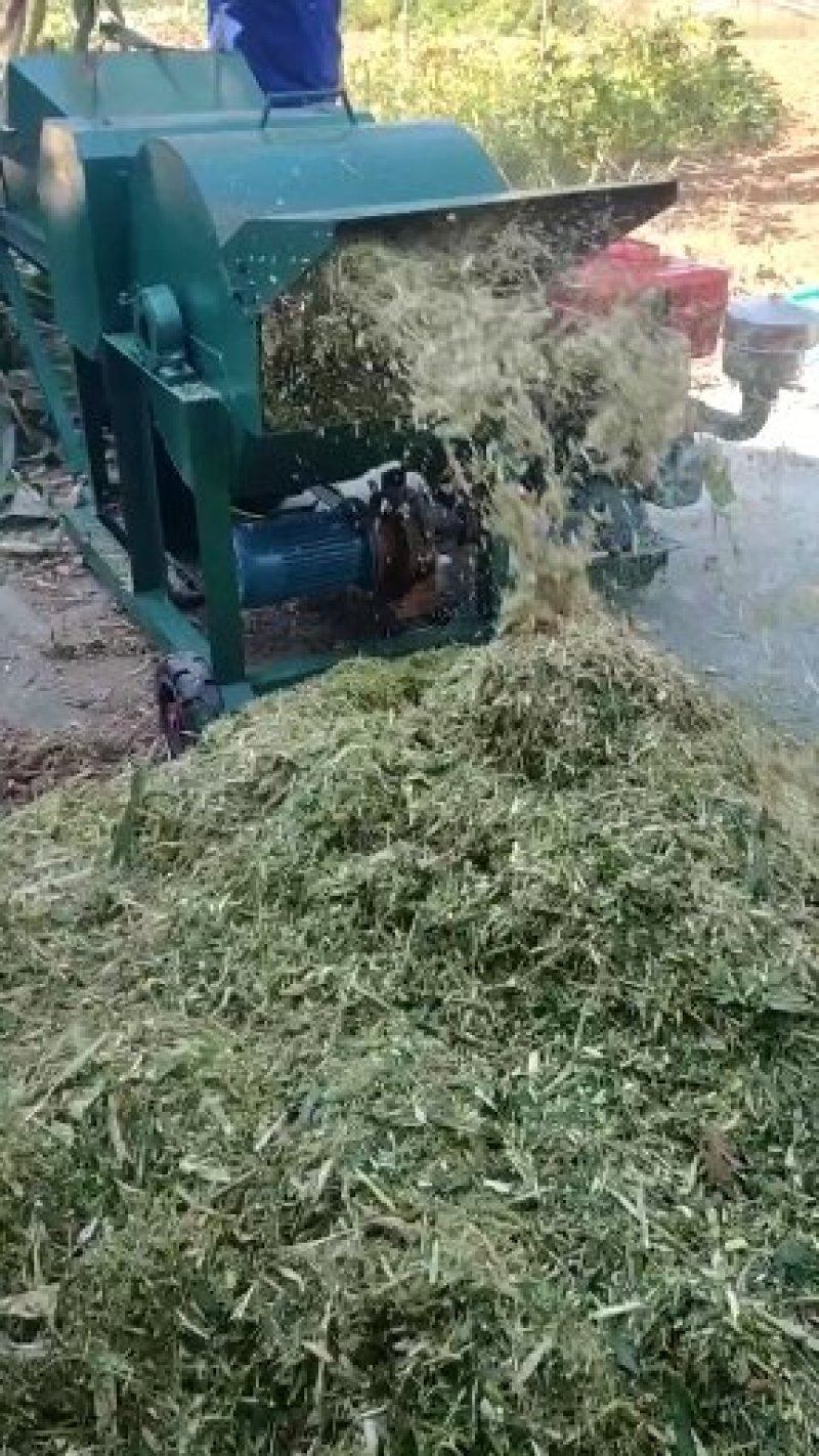 [精品]揉丝机干鲜秸秆粉碎揉丝机稻草饲料揉丝机大型