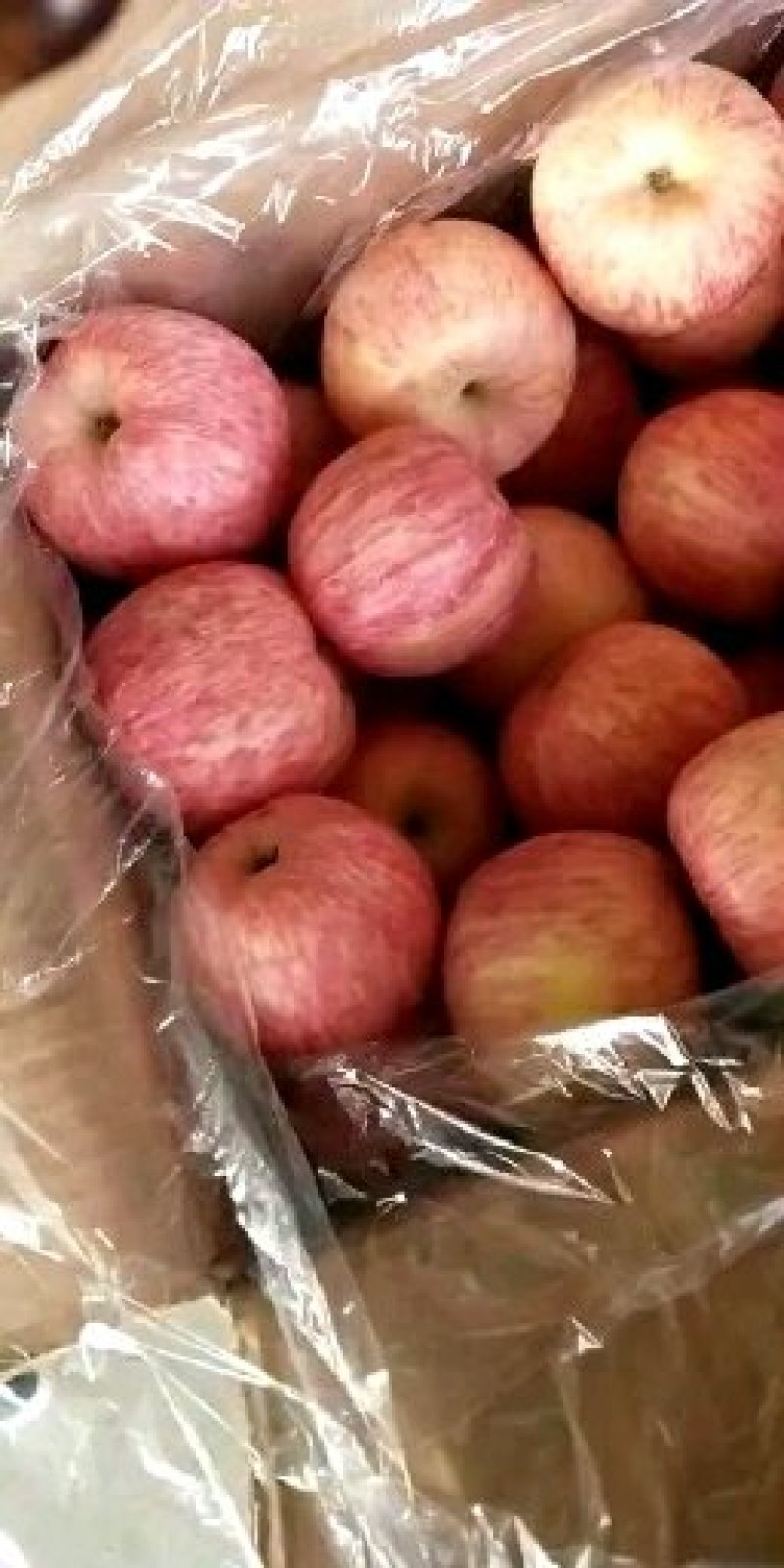 【山东红富士苹果批发】🍎膜袋果纸袋果，大量现货供应中