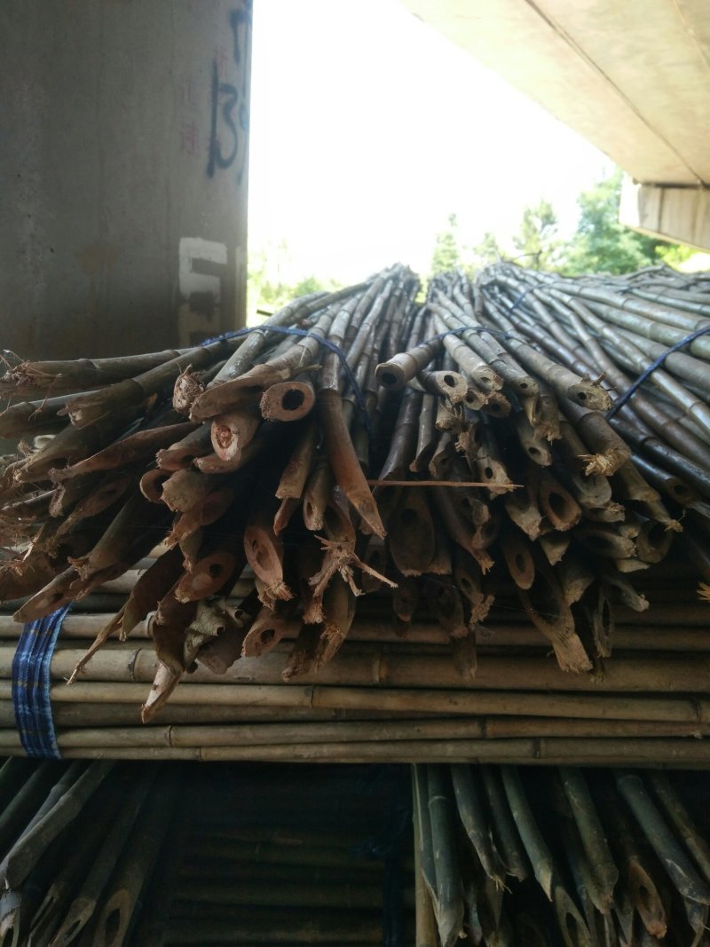 精品水竹货量充足量大从优品质精致欢迎来购