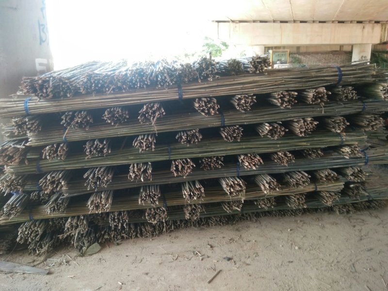精品水竹货量充足量大从优品质精致欢迎来购