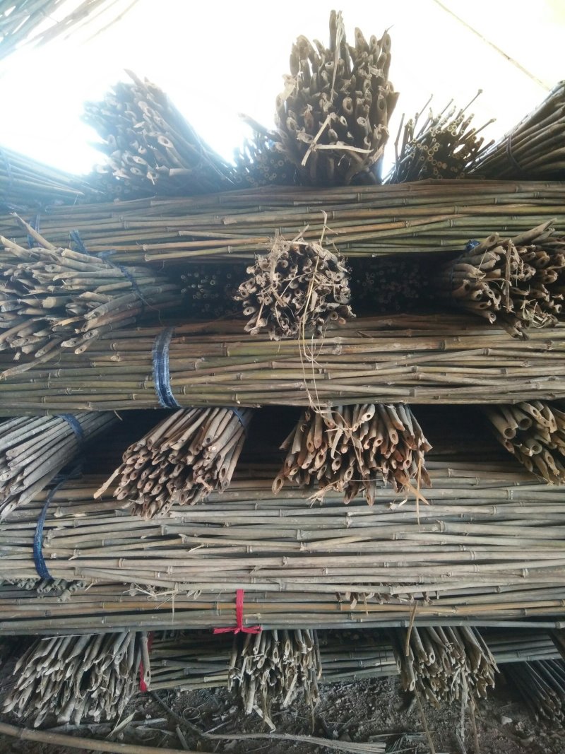 精品水竹货量充足量大从优品质精致欢迎来购