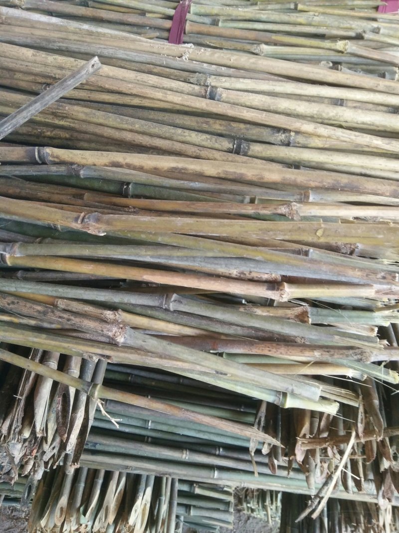 精品水竹货量充足量大从优品质精致欢迎来购