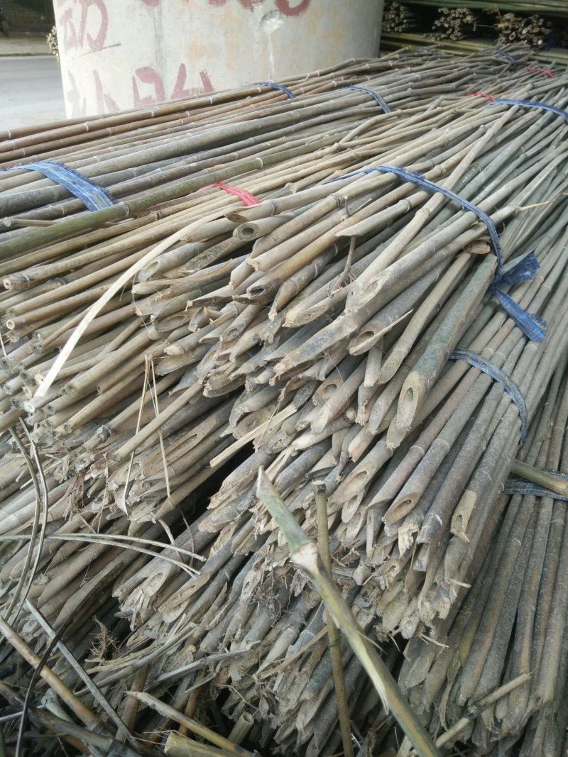 精品水竹货量充足量大从优品质精致欢迎来购