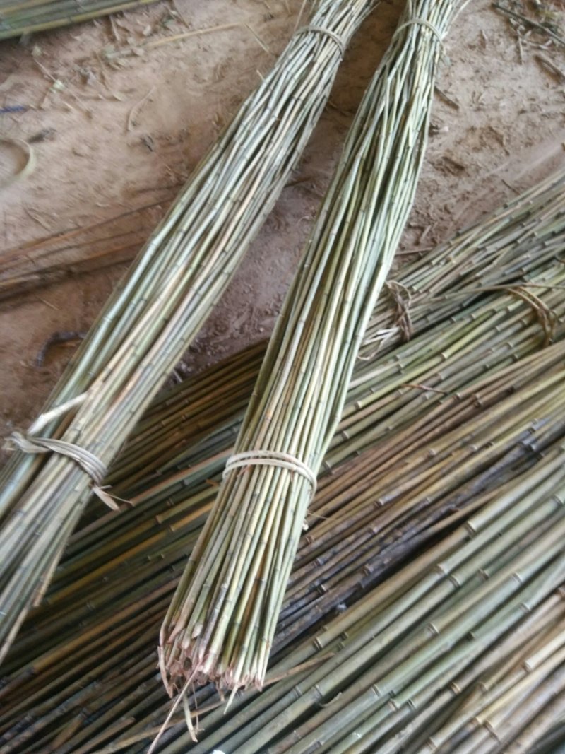 精品水竹货量充足量大从优品质精致欢迎来购