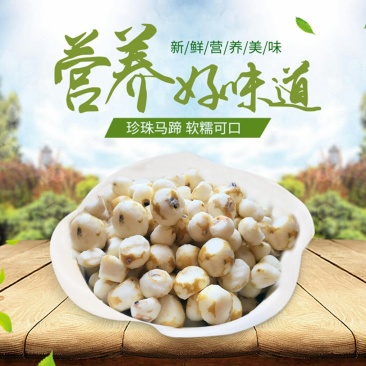 新鲜珍珠马蹄去皮荸荠500g