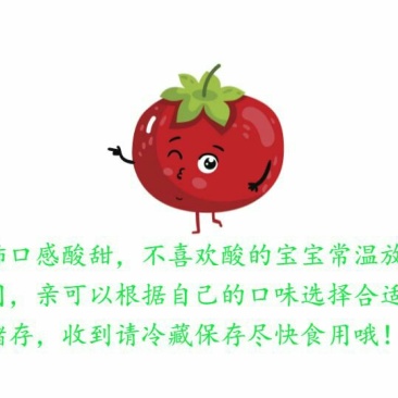 西红柿5斤装新鲜农家沙瓤大番茄现摘应季蔬菜包邮