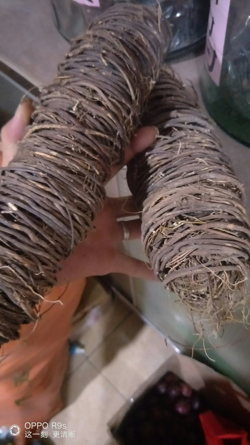 野山鸡骨草