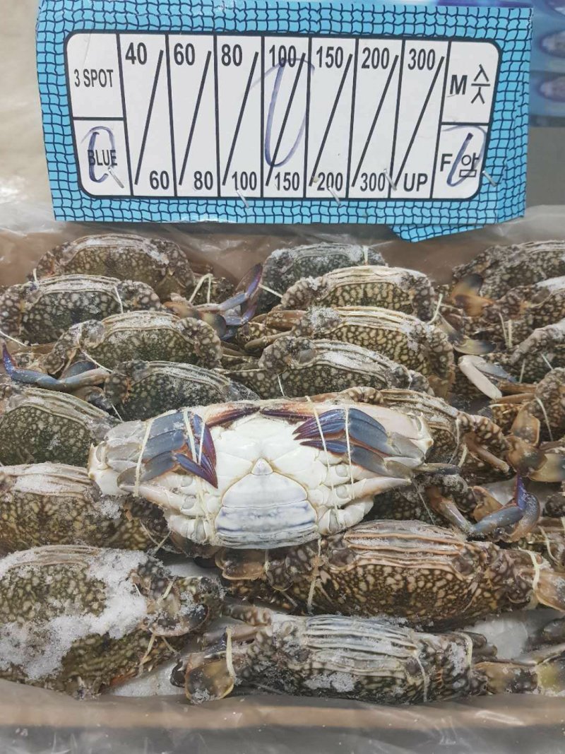 巴基斯坦兰花蟹