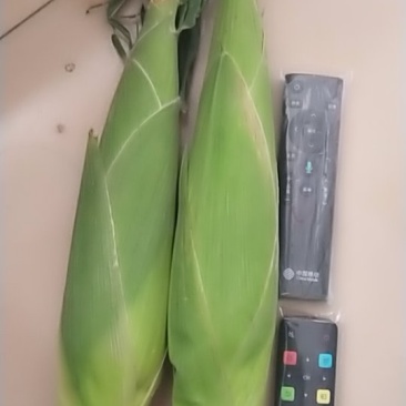 黏玉米，香甜可口，价格不高，