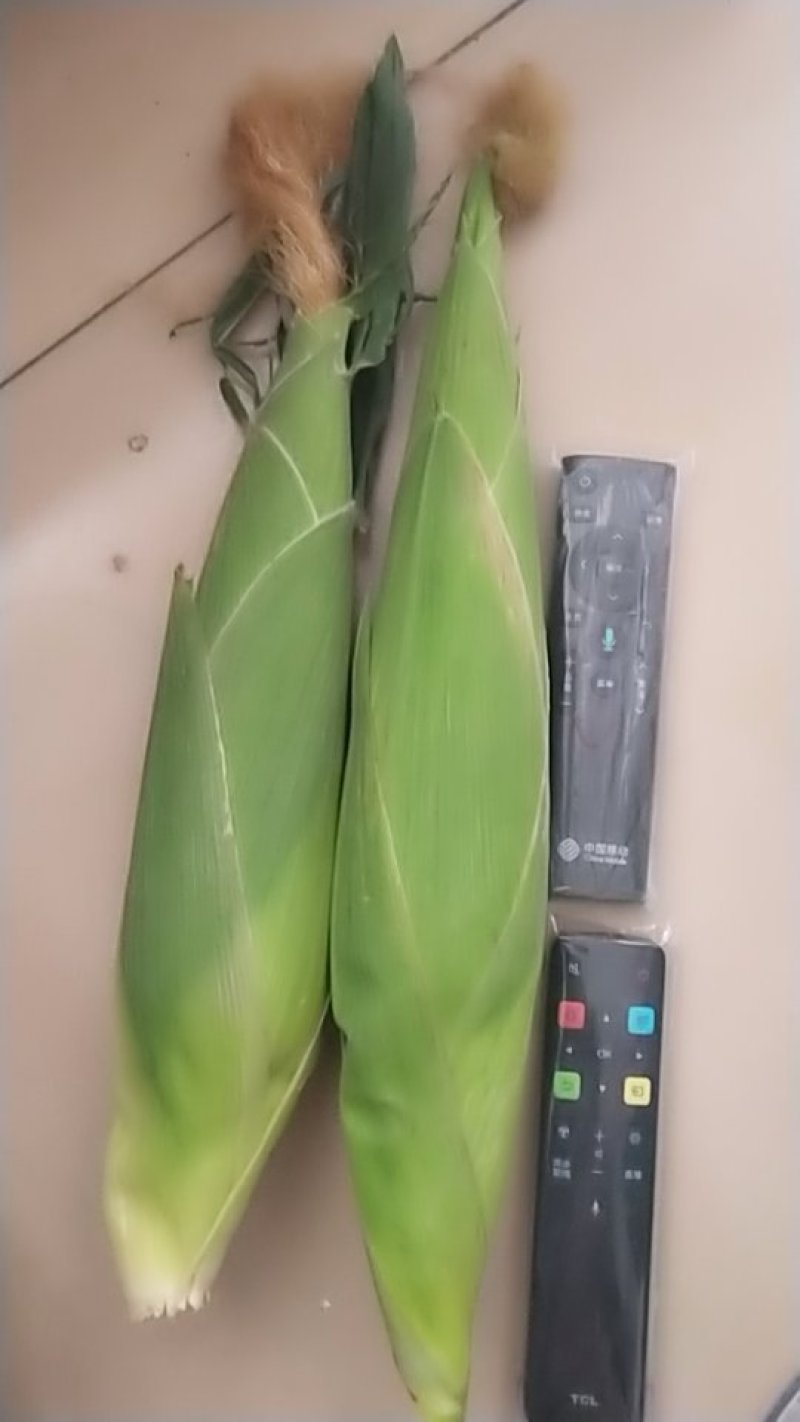 黏玉米，香甜可口，价格不高，