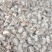 藏红花种球45一斤