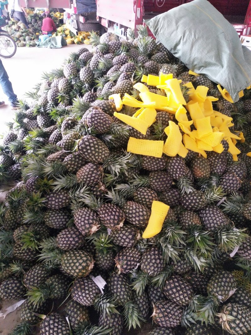 云南景洪凤梨，原生态香甜可口