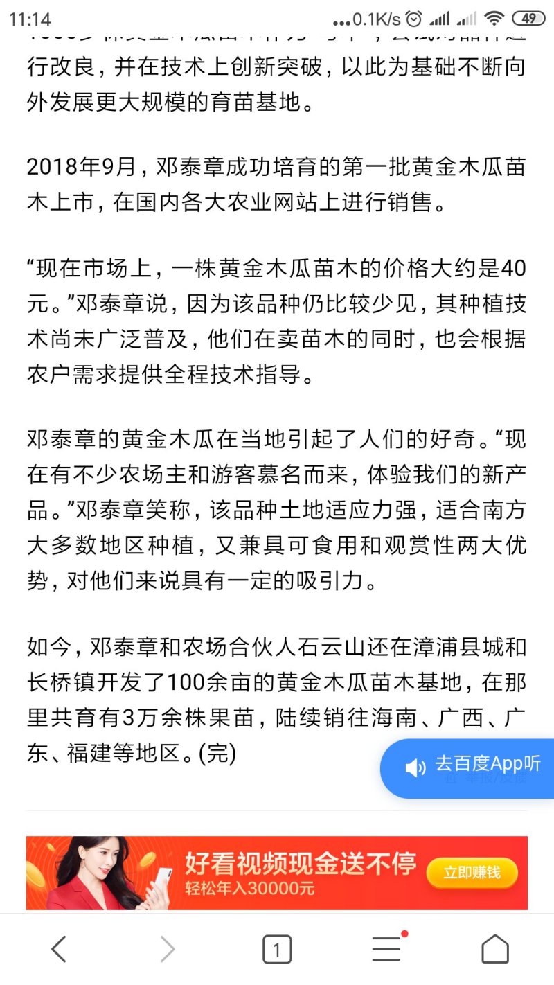 优质泰国黄金木瓜苗.带叶带营养土发货/成活率高