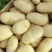 土豆