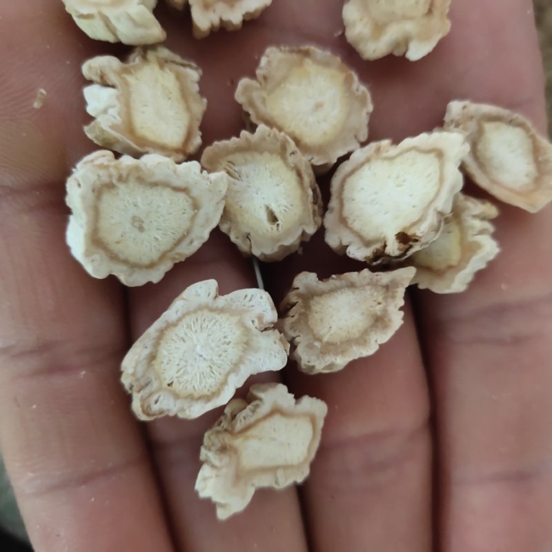 桔梗无硫过0.4筛新货批发各种规格中药材