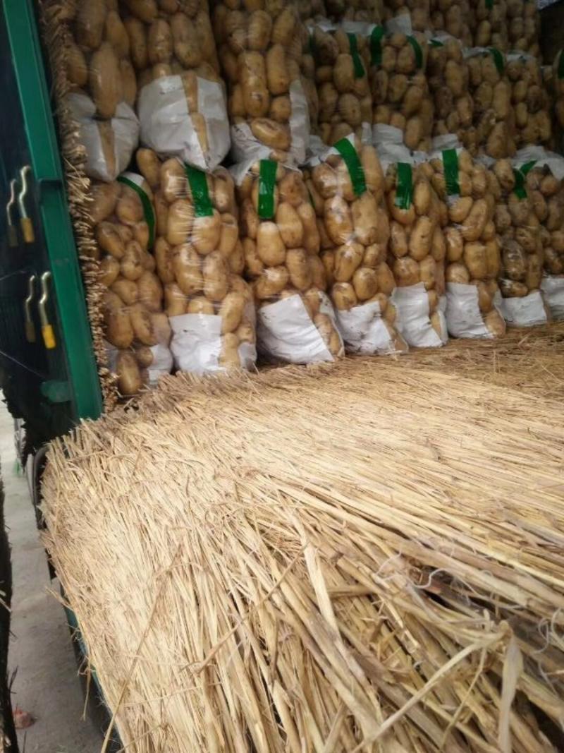 优质沃土，土豆，大量上市，全国发货，保证质量。