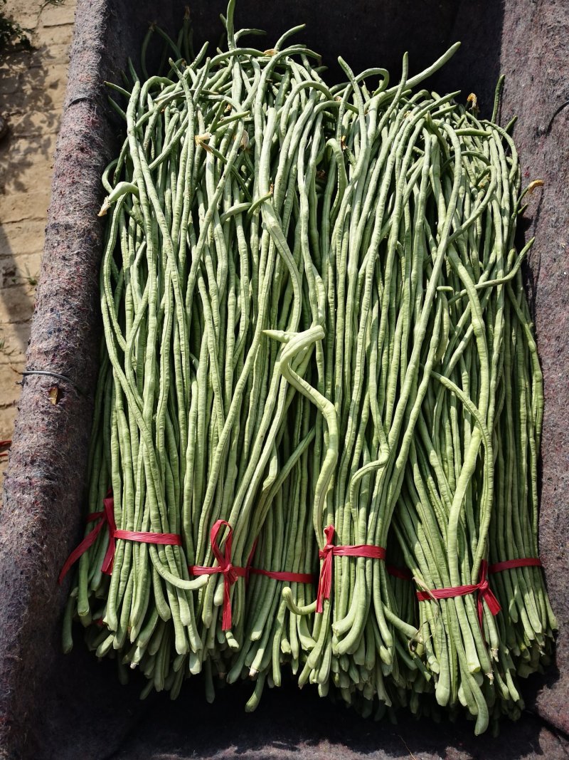 有要豆角的联系我