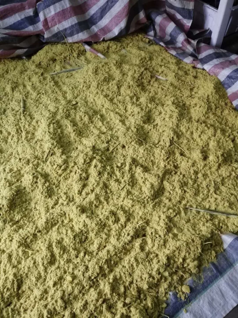 湖北蒲黄供应，优质的蒲黄，量大，品质特别好！