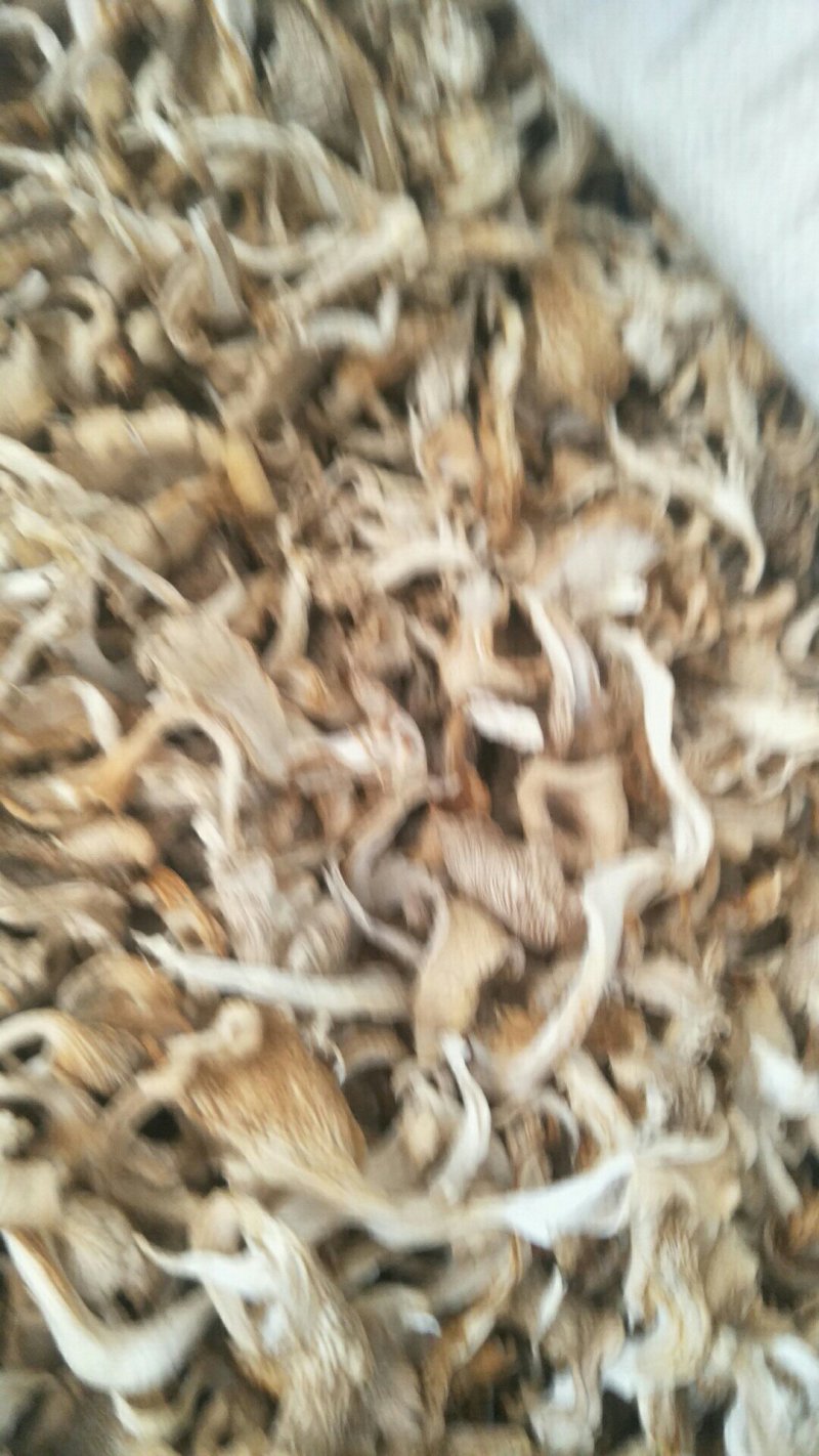 干平菇