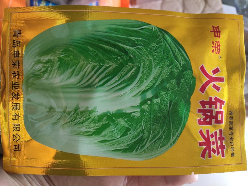 大白菜种子火锅菜好吃大白菜种子，冬储大白菜种子