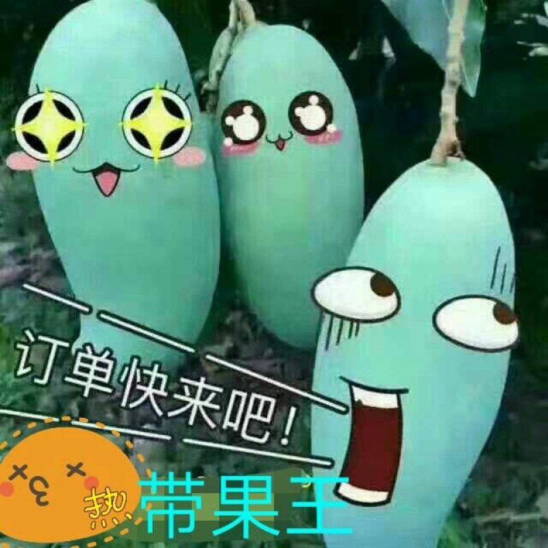 芒果