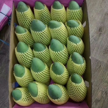 芒果