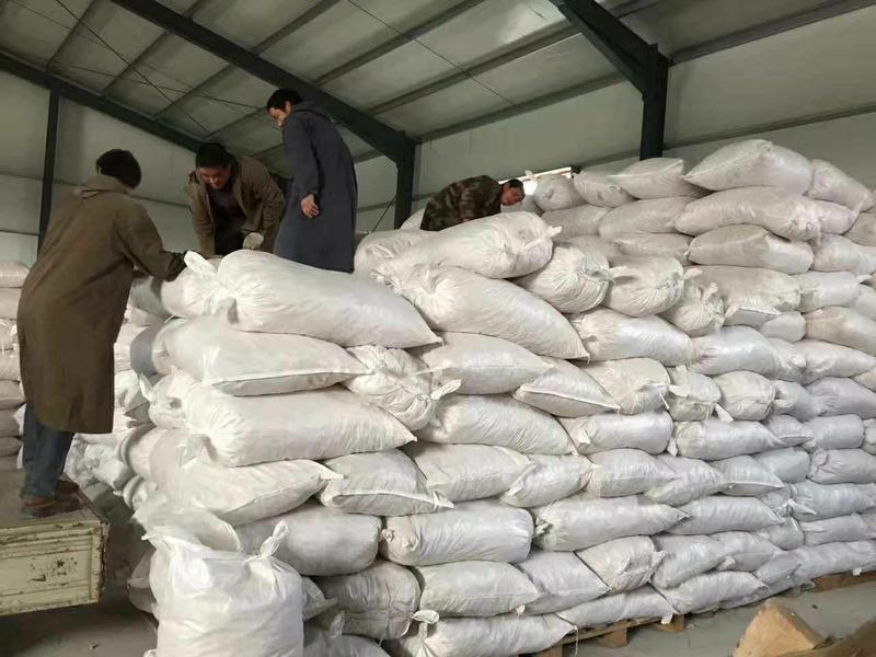振兴药材批发供应白扁豆规格齐全产地直供一手货源全国发货