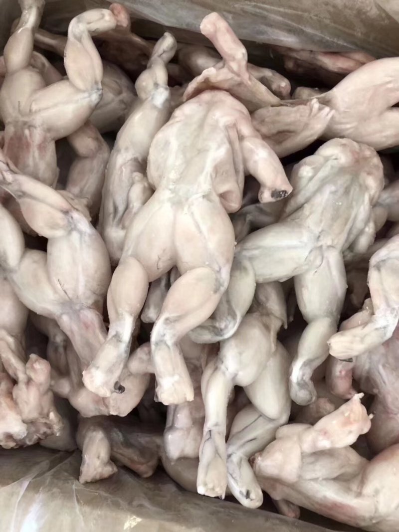 牛蛙，活蛙加工，急冻保鲜，