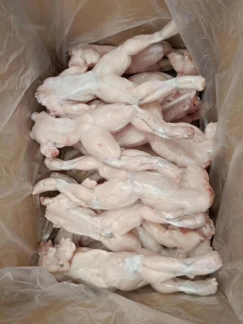 牛蛙，活蛙加工，急冻保鲜，