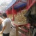 【优质山药】九斤黄山药以质量求生存、以信誉求发展