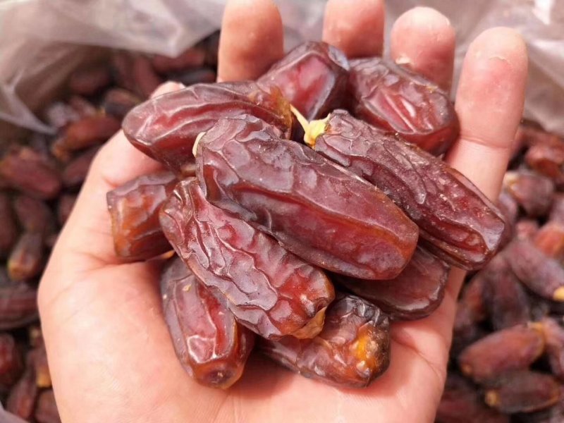 【有好货】伊朗进口特级大椰枣（非蜜馅）肉厚口感棒