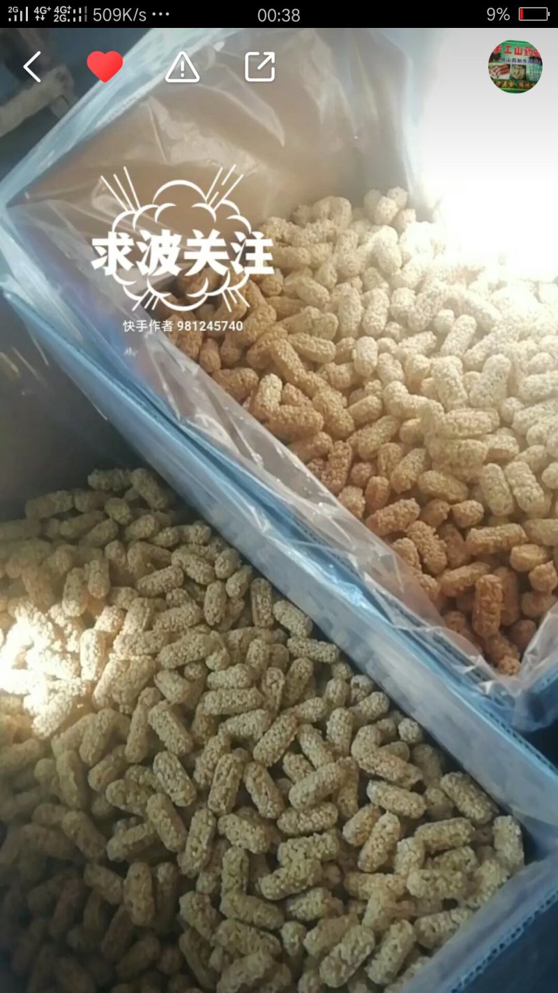 燕麦酥