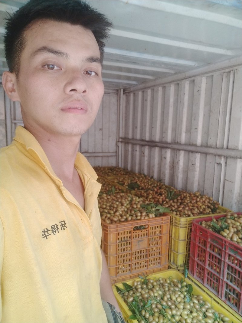 鸡心黄皮黑金贵妃黄皮电商果专业代办