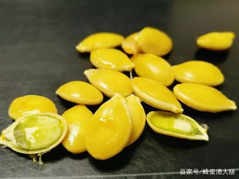 板栗南瓜