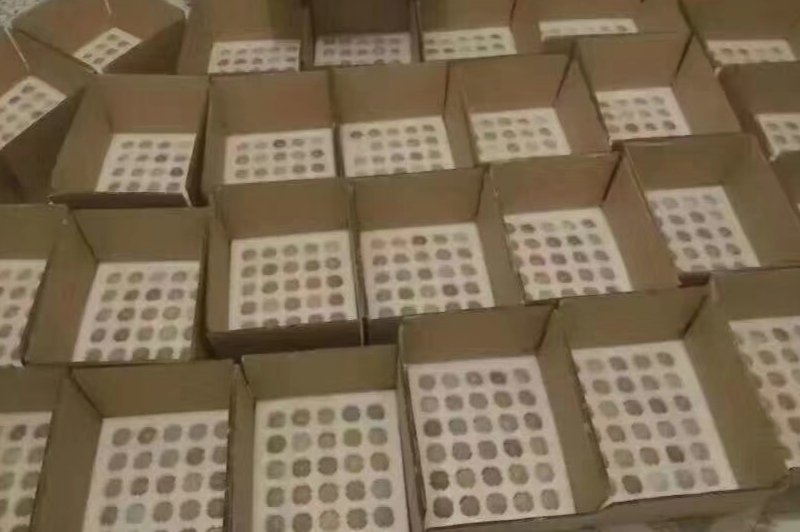 野鸡种蛋，七彩山鸡种蛋，孵化专用。