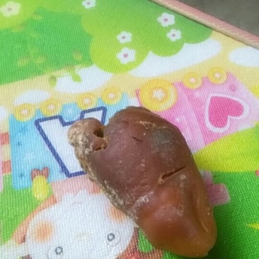 鸡宝