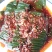 观音豆腐