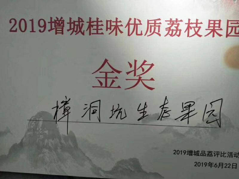 广州增城樟洞坑荔枝，自家果场，新鲜采摘，支持一件代发