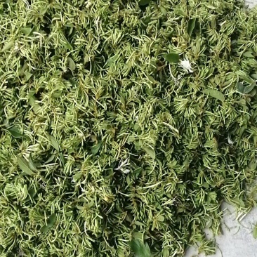 山银花，