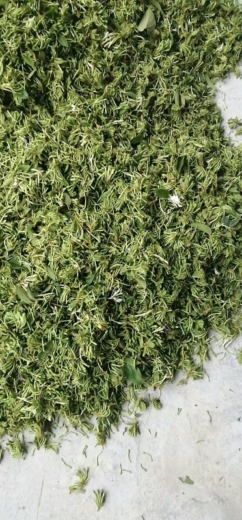 山银花，