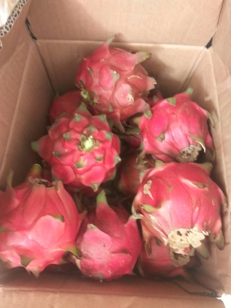 红心火龙果