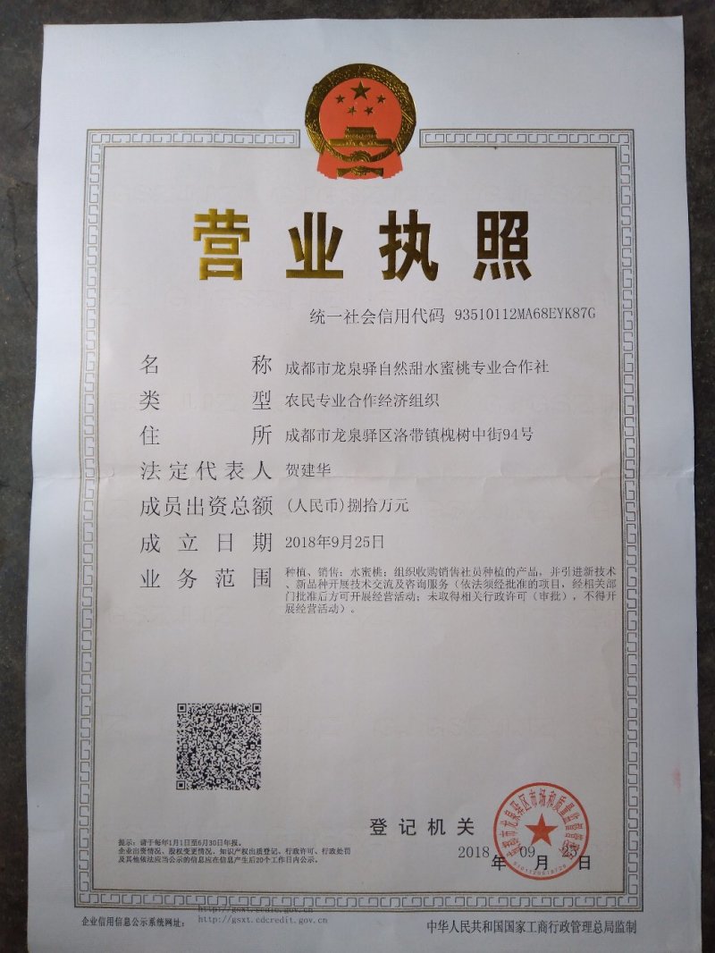原产地龙泉水蜜桃白凤水蜜桃礼盒批发一件代发空运包邮