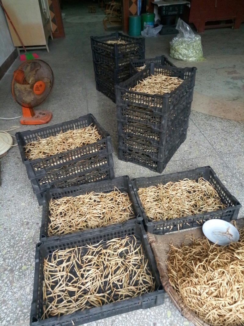 大荔农家自制传统锅蒸无硫干黄花菜