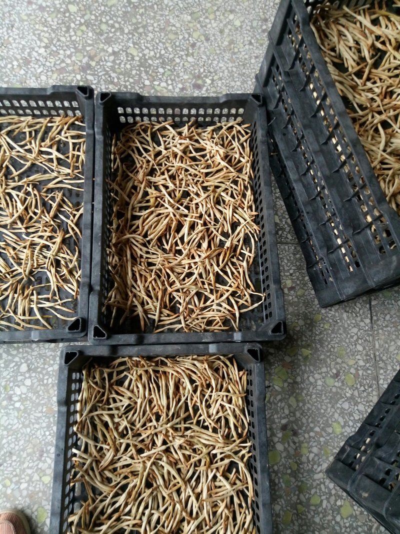 大荔农家自制传统锅蒸无硫干黄花菜
