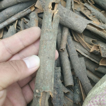 桂皮优质调料质量保证