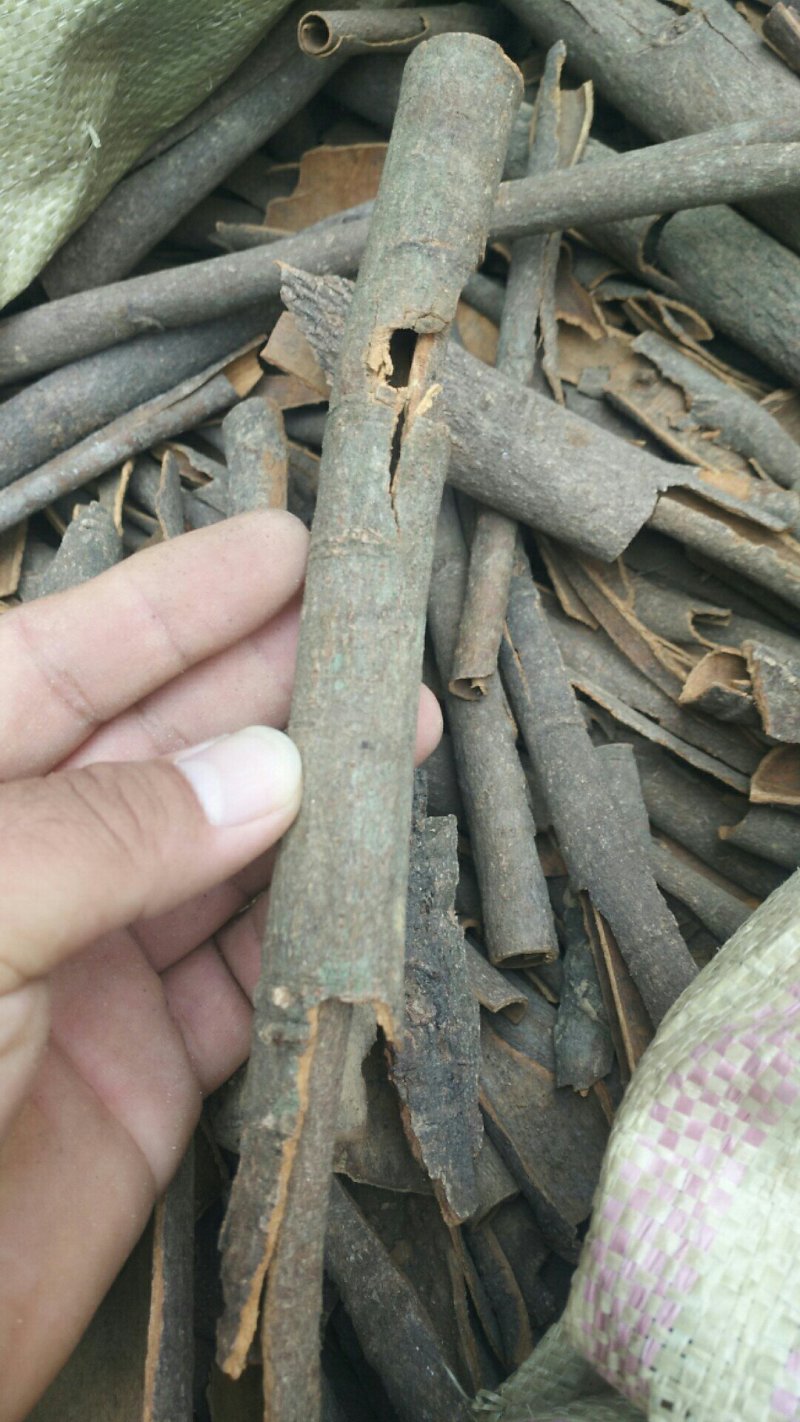 桂皮优质调料质量保证