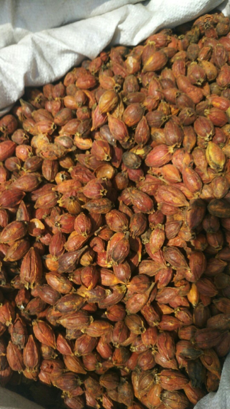 栀子优质调料各种调料批发零售