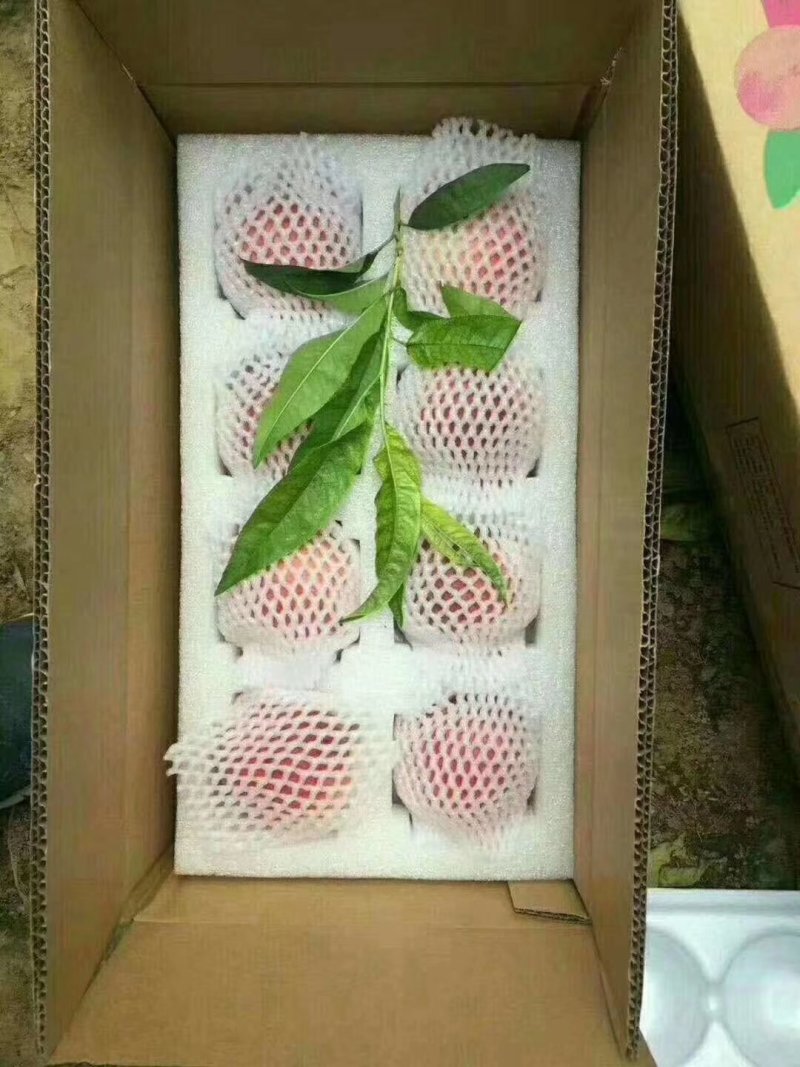 各种桃大量上市，颜色红，口感甜，专业诚信代发全国