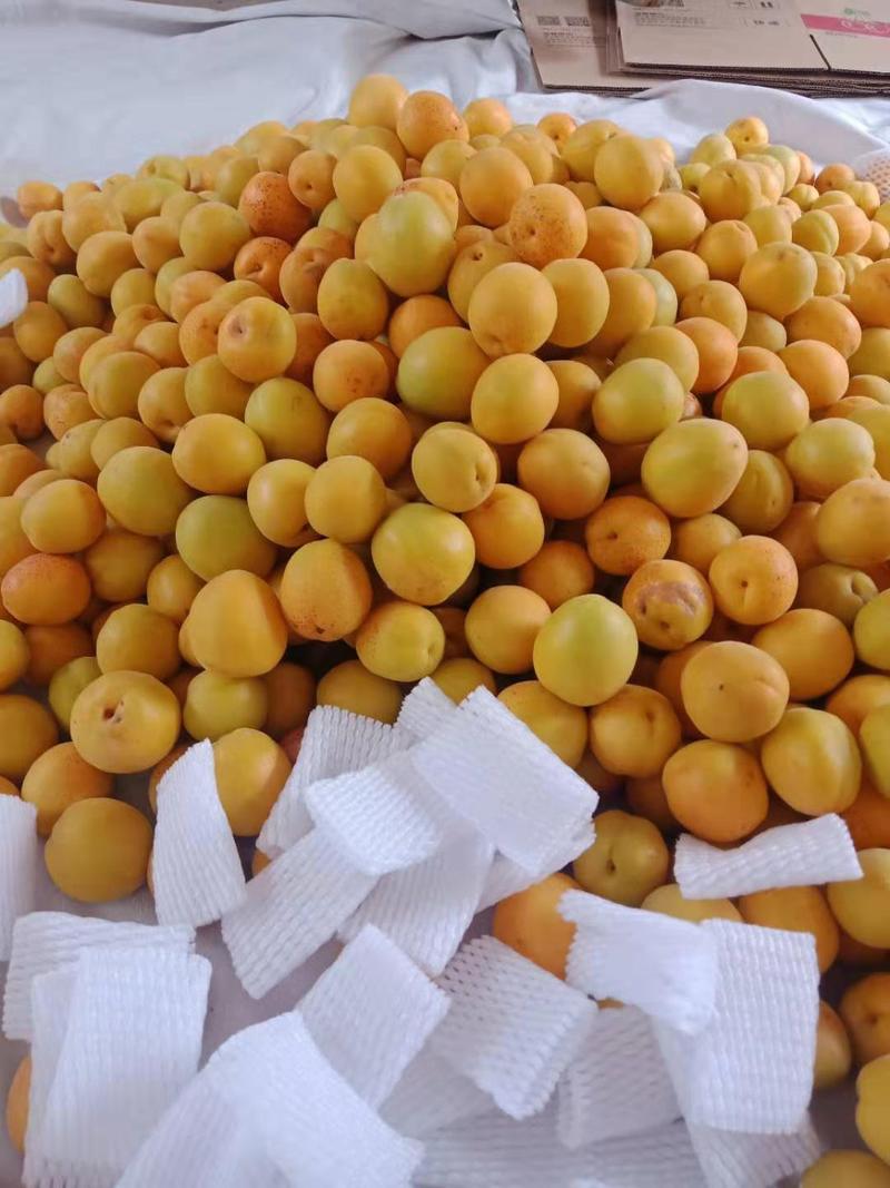 【热卖中】荷兰香蜜杏50mm以上应季水果蜜甜爽口