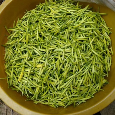 土货黄花菜